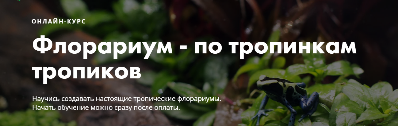 [Онлайн-школа «Мир за стеклом»] Флорариум - по тро_0.png